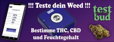 Cannabis testen im Hanfstadel